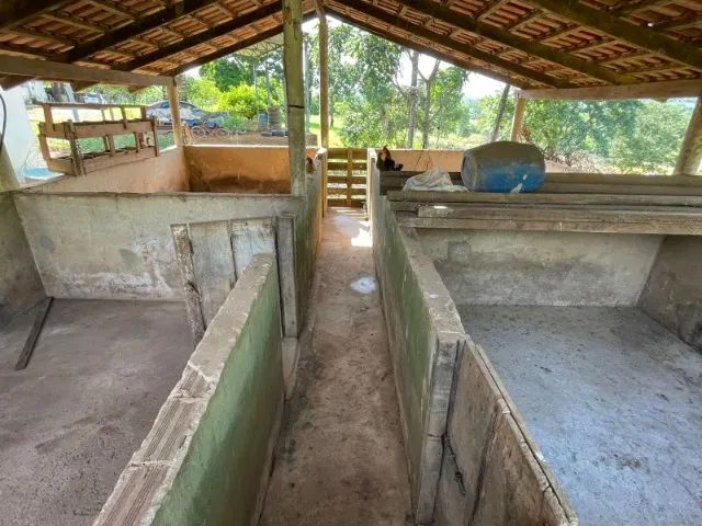 Fazenda à Venda Região nobre do TOCANTINS. - Foto 9