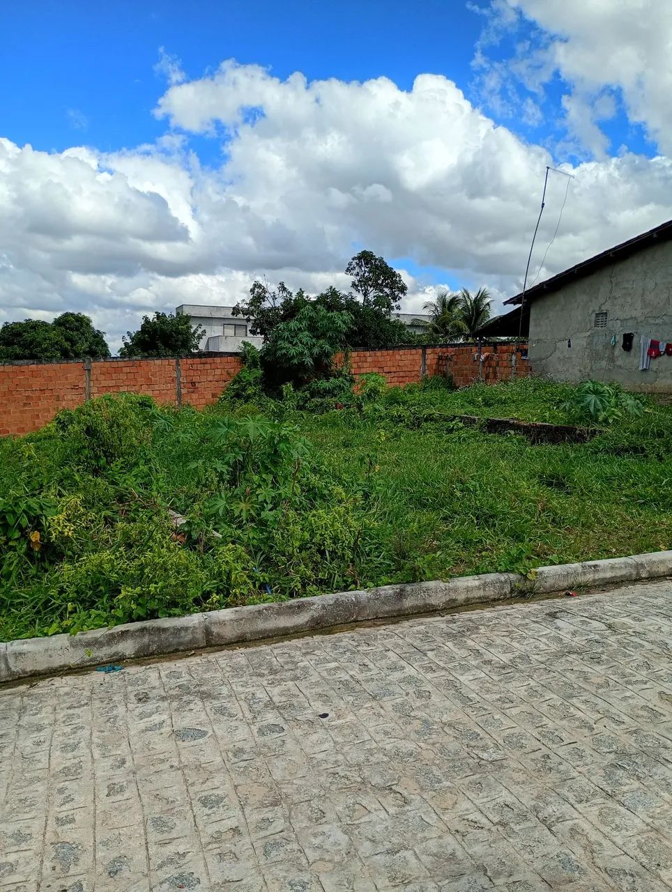 VENDO TERRENO EM AREIA BRANCA - Foto 3