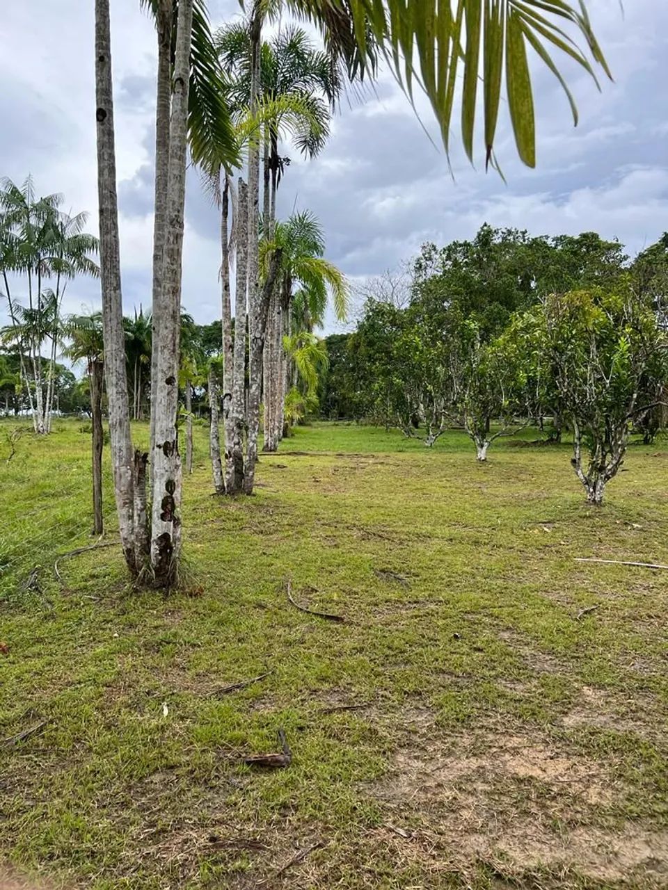 Sítio na AM-010, totalmente equipada R$ 850mil - Foto 6