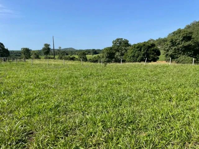 Fazenda à Venda Região nobre do TOCANTINS. - Foto 4