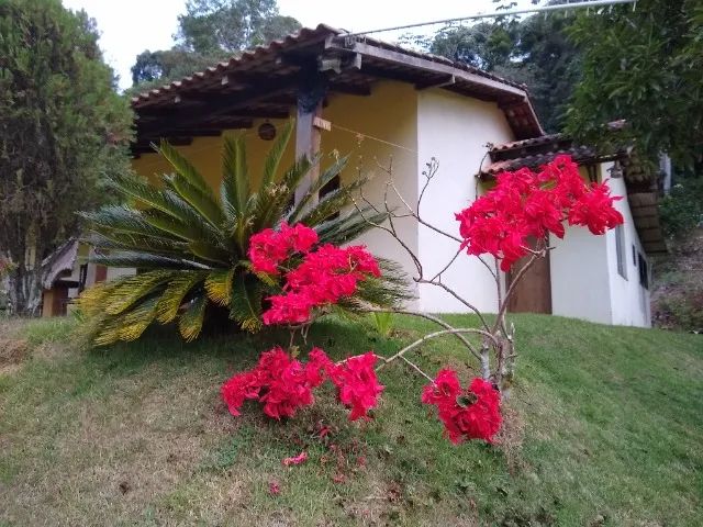 SEU REFÚGIO IMPERDÍVEL EM DOMINGOS MARTINS com 30 mil m² - Foto 2