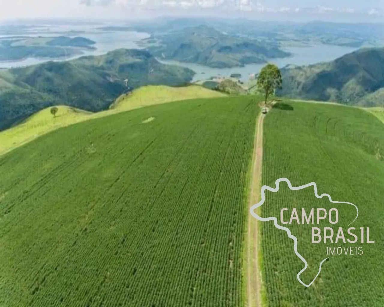 FAZENDA 1.238 HECTARES EM PIMENTA - MG ! - Foto 5