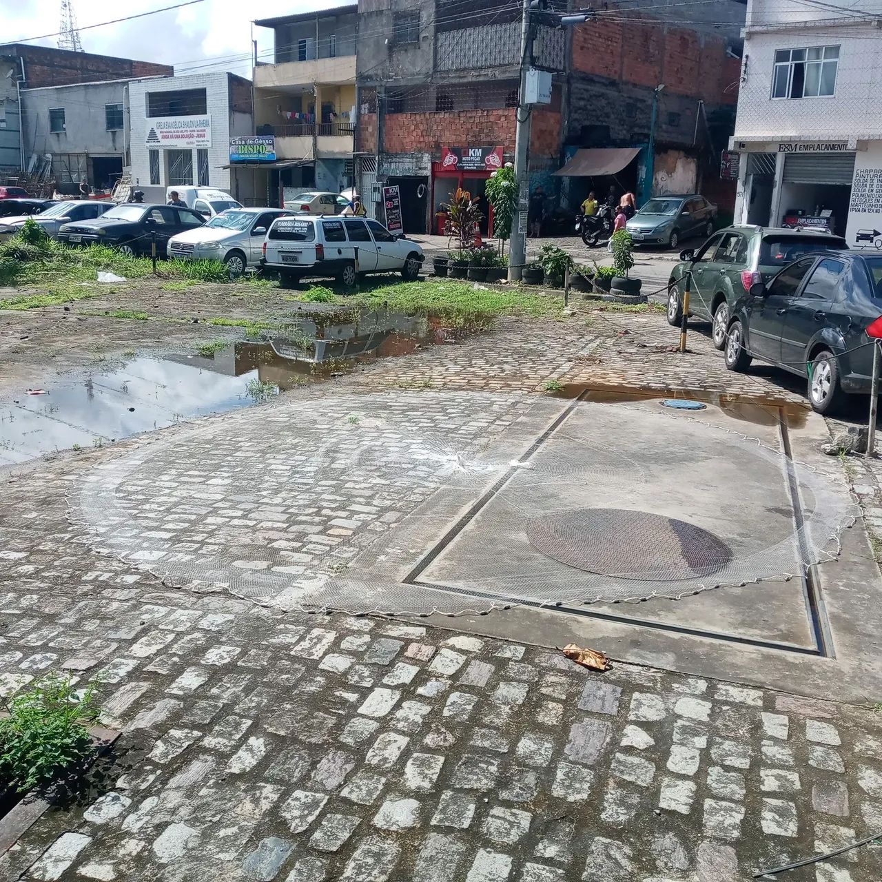 Rede de Pesca para Comércio