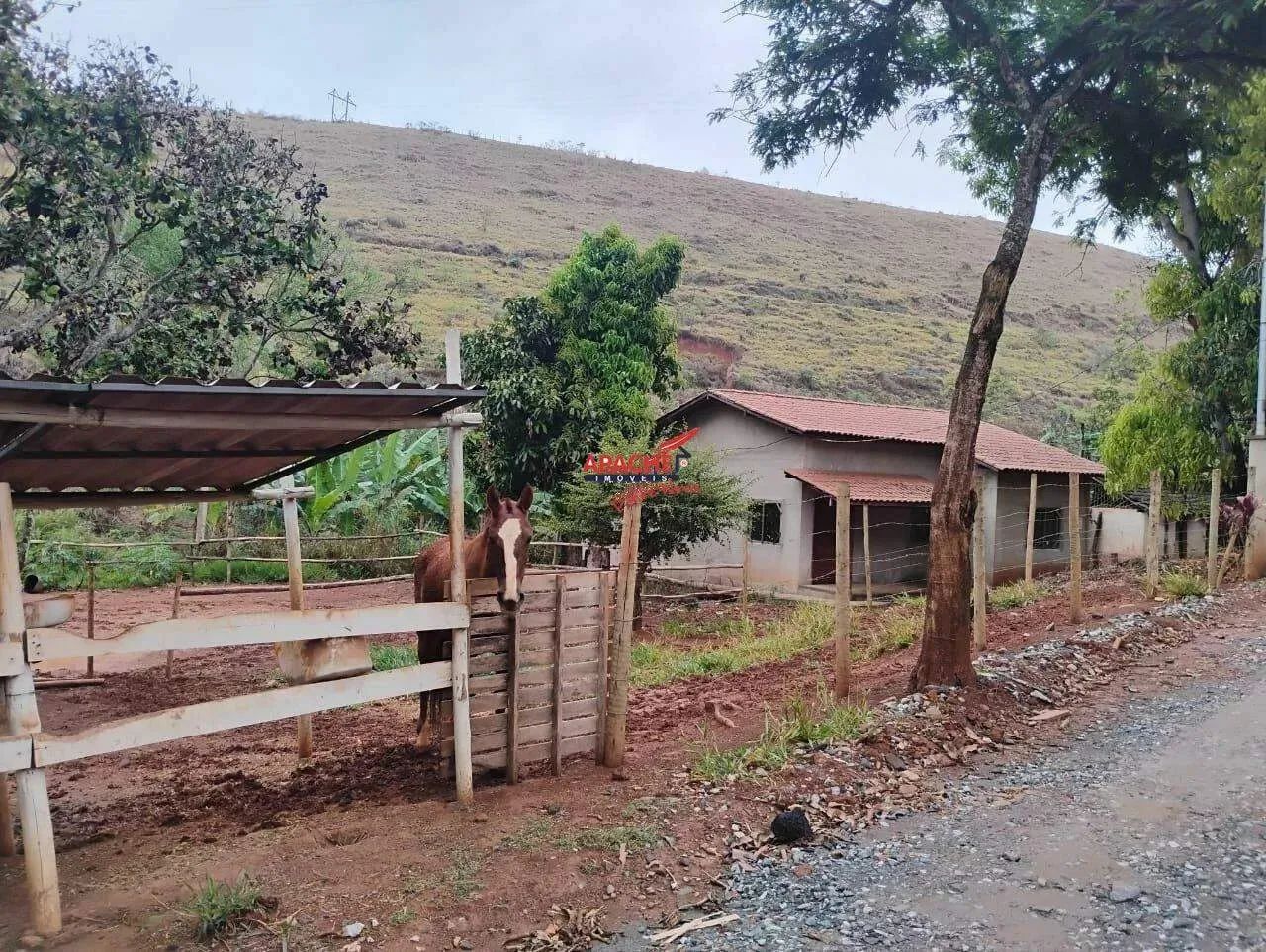 Chácara à venda, ZONA RURAL - Ponte Nova/MG