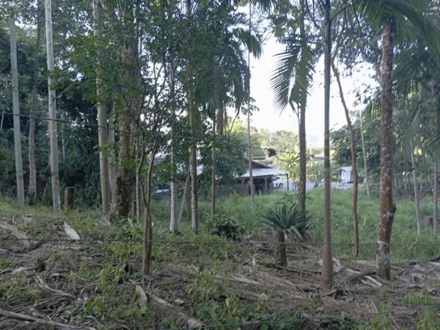 Lindo terreno plano e pronto para Chácara - Foto 3