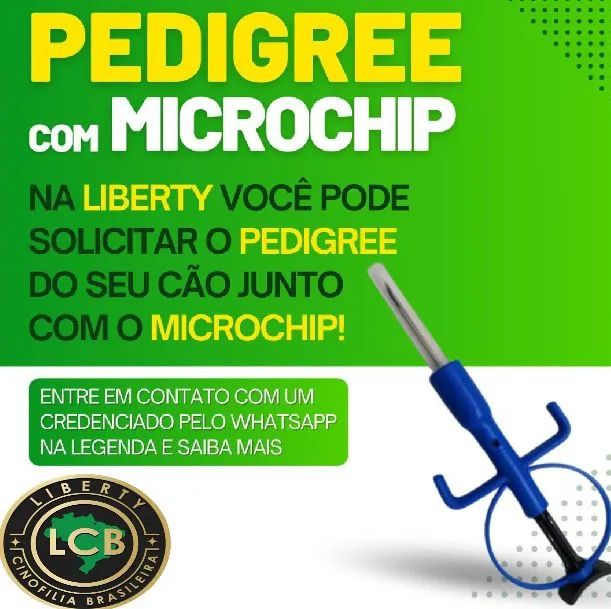 Pedigree com Microchip na Liberty