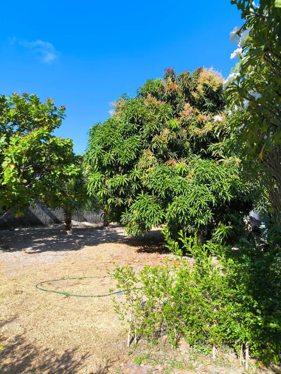 Terreno no condomínio Vivenda dos Ramalhetes com 422m² 