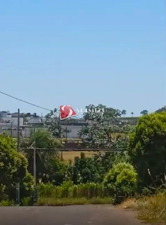 Terreno à venda em Porto Rico, Centro, com 150 m² - Foto 4