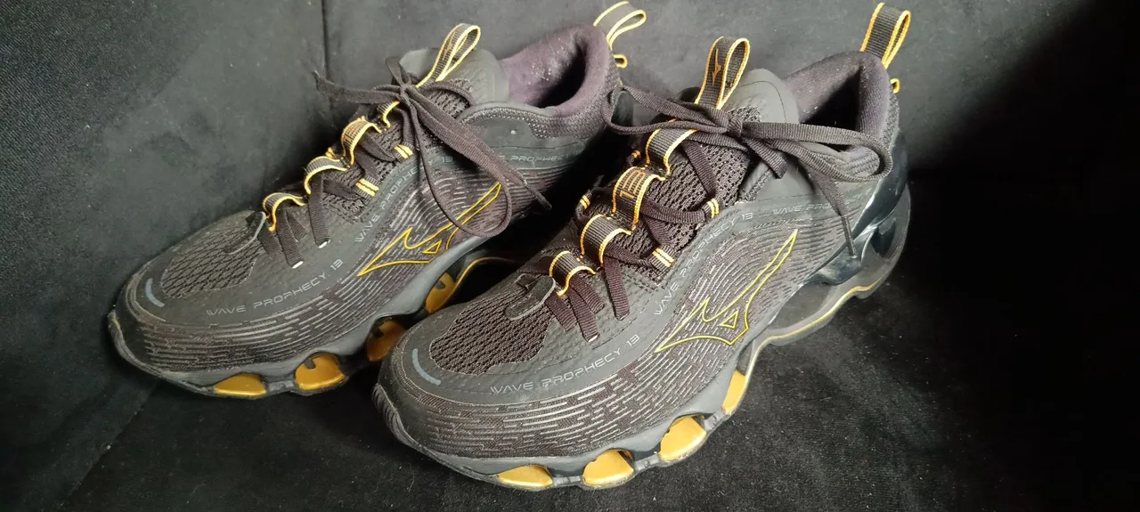 Tênis Mizuno Wave Prophecy 13 - 42
