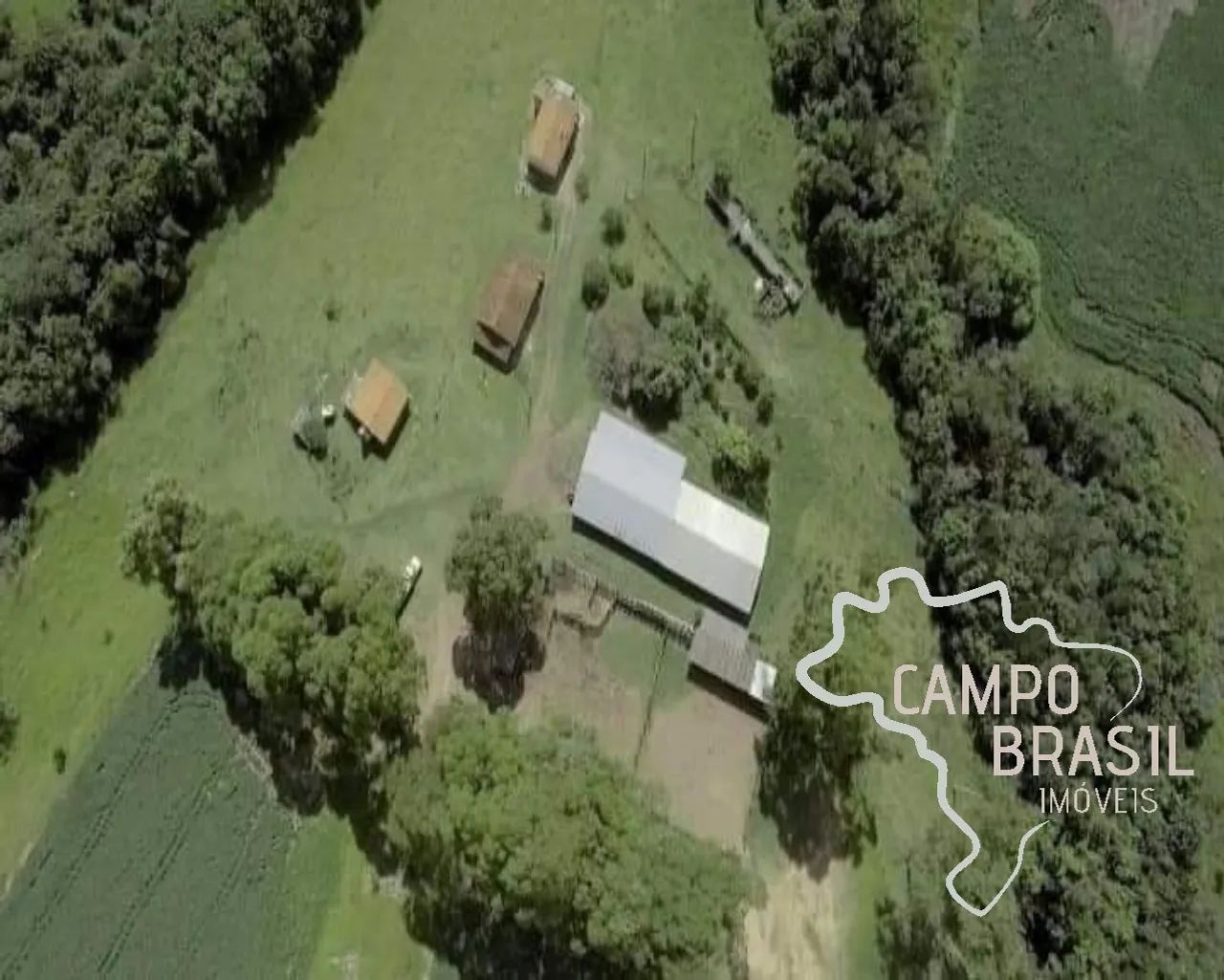 FAZENDA 1.238 HECTARES EM PIMENTA - MG ! - Foto 4