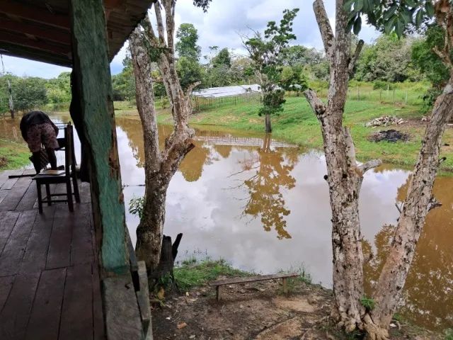 Sitio com Crianção de tambaqui e hortaliças  - Foto 3