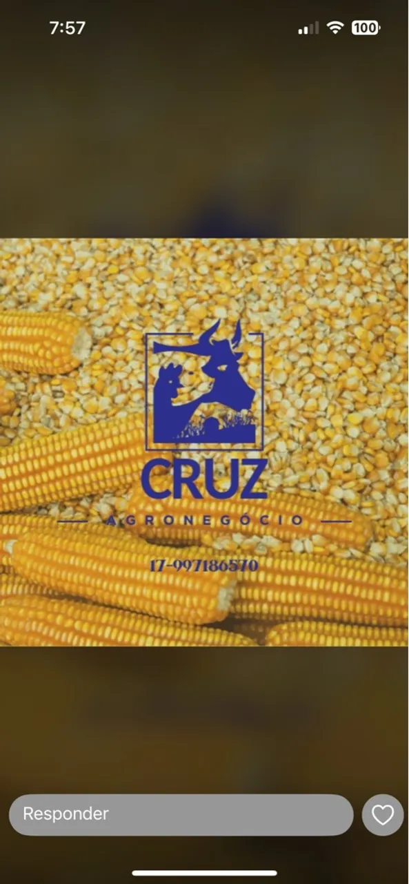 Milho para Agronegócio - Qualidade CRUZ
