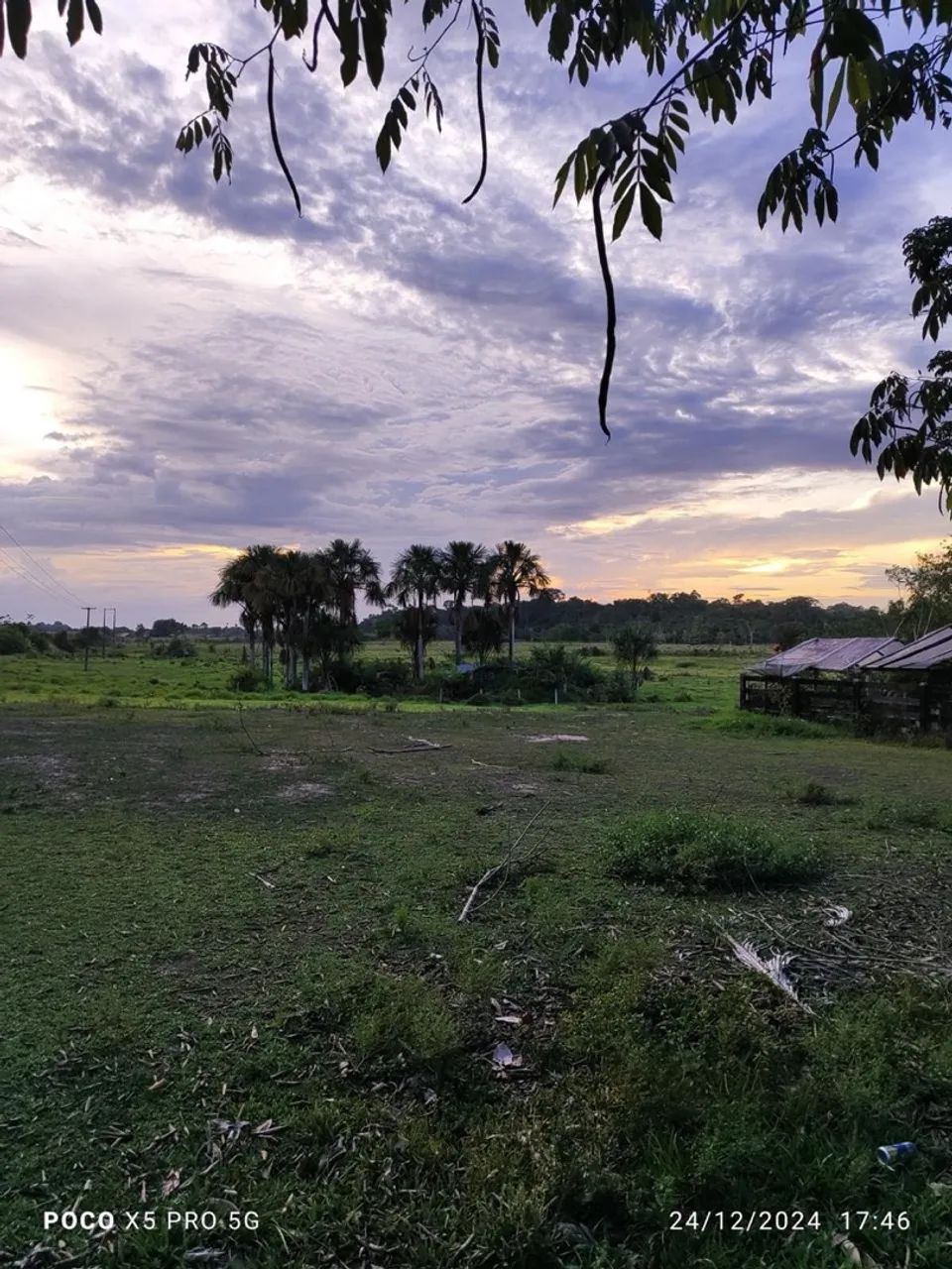 Fazenda em São João da baliza/ RR - Foto 4