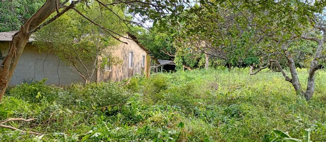 Foto - Senador Guiomard - 