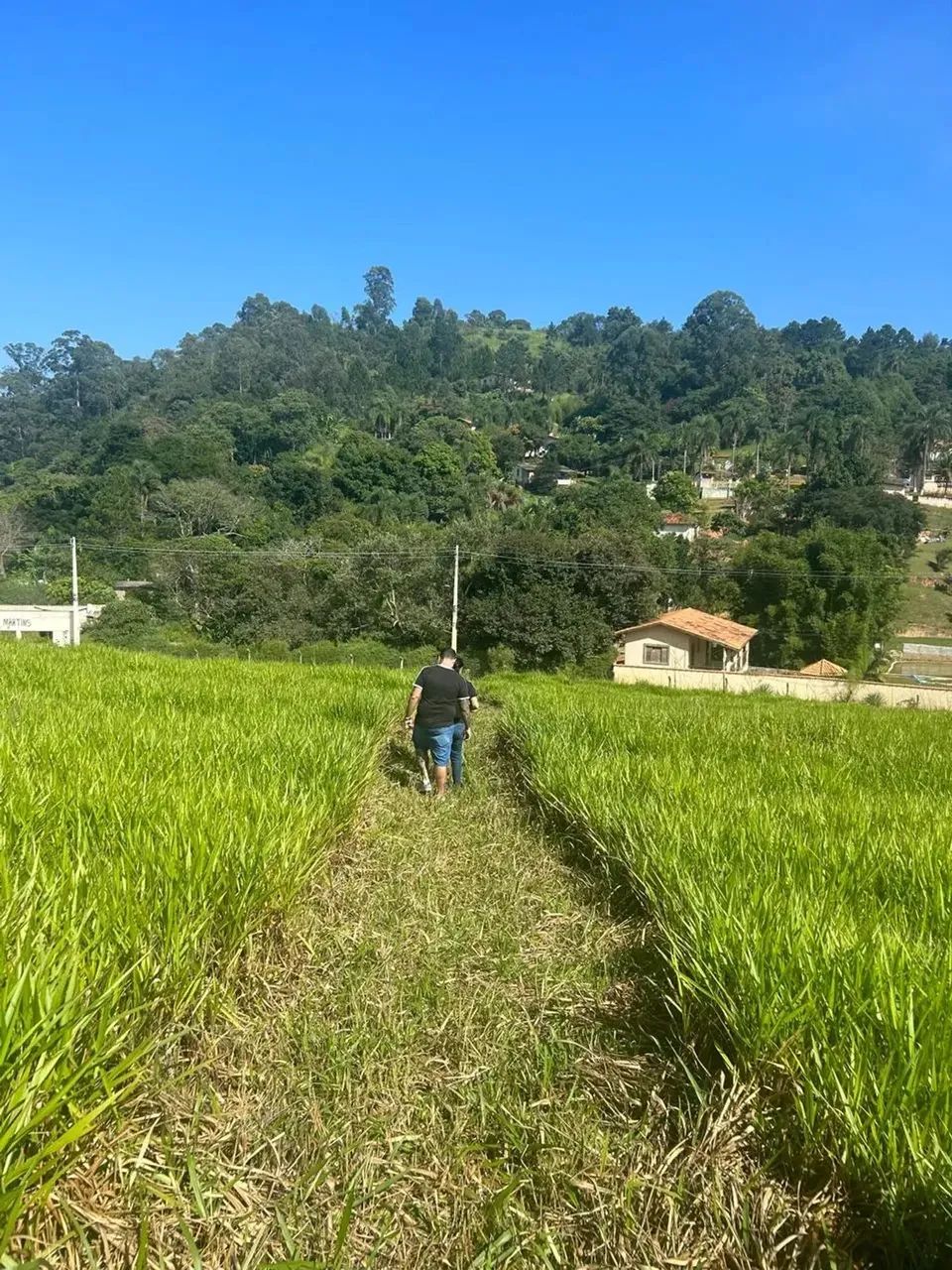 Terreno Amplo de 1000m² no Bairro Saboó  São Roque - Foto 8