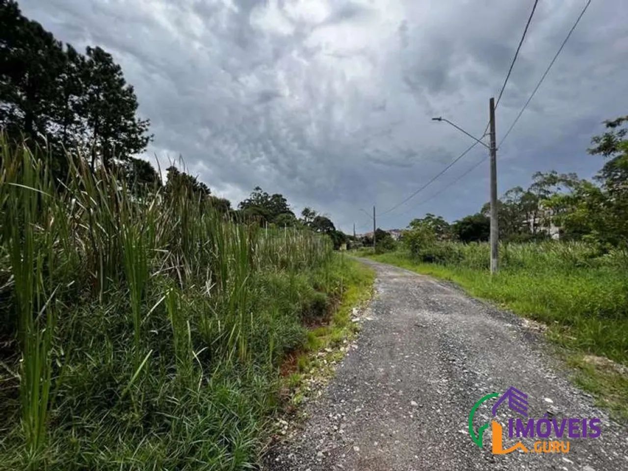AREA - CHÁCARA SANTA LÚCIA - SP - Foto 4