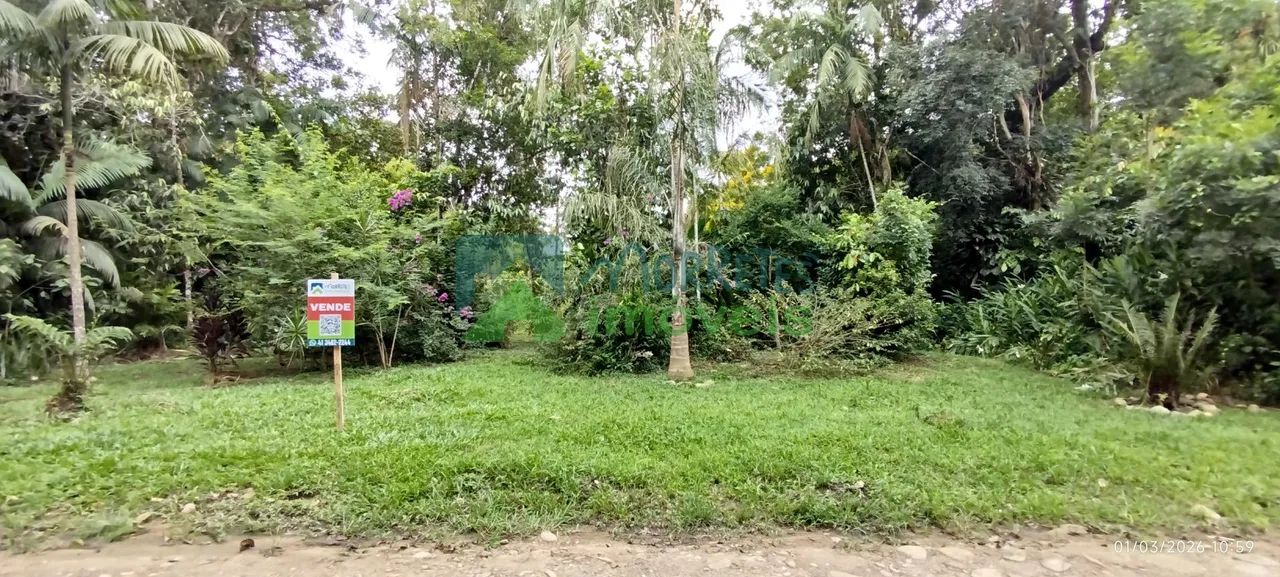Lotes a Venda em Morretes - Foto 2