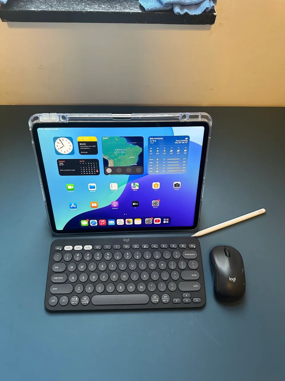 IPad Pro 12.9 5ª Geração 256 GB