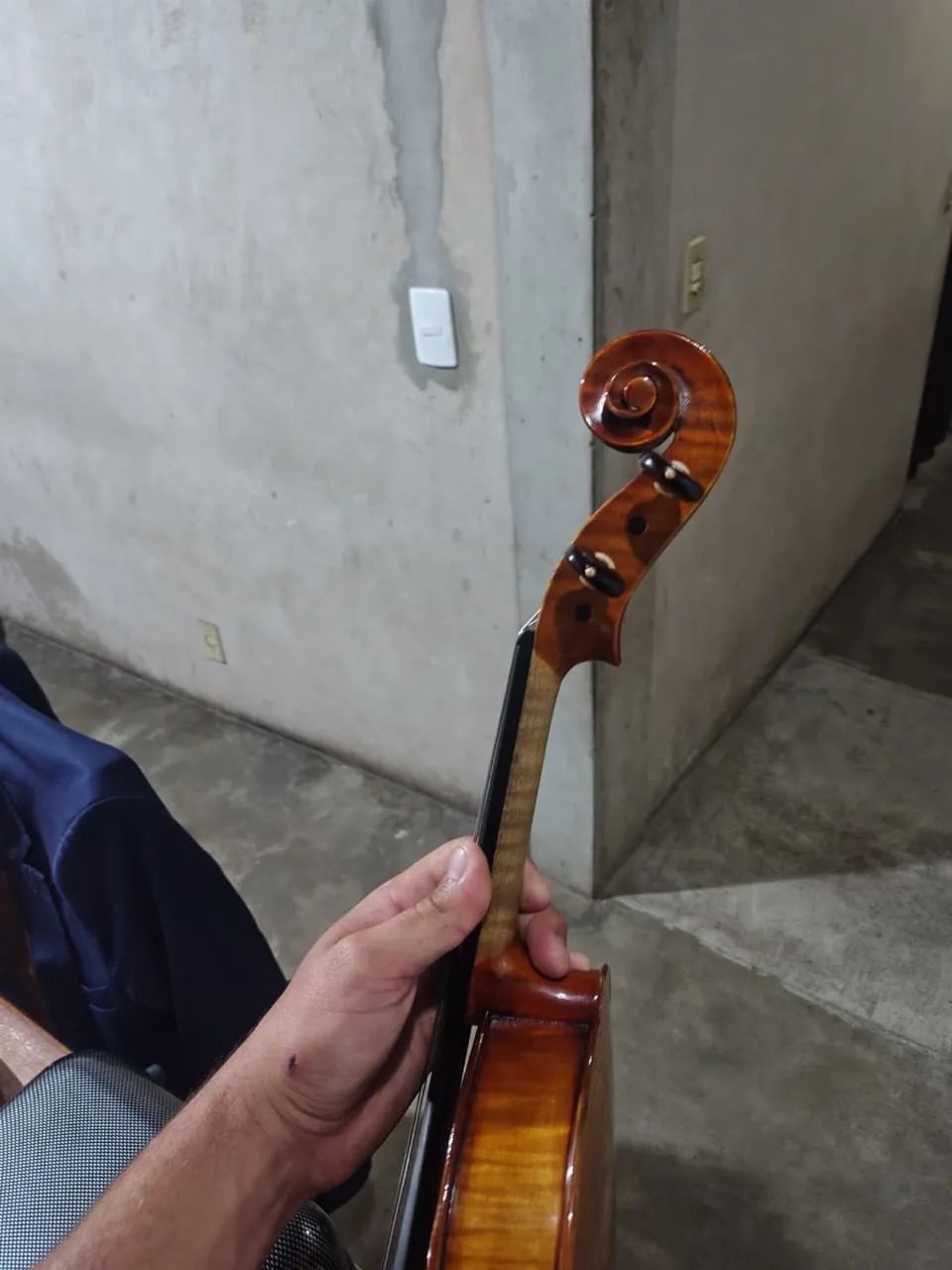 VIOLA - Foto 5