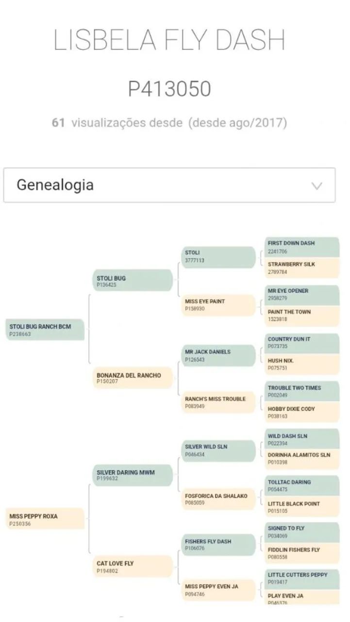 Potra Quarto de Milha Genética: Velocidade e Vaquejada  - Foto 3