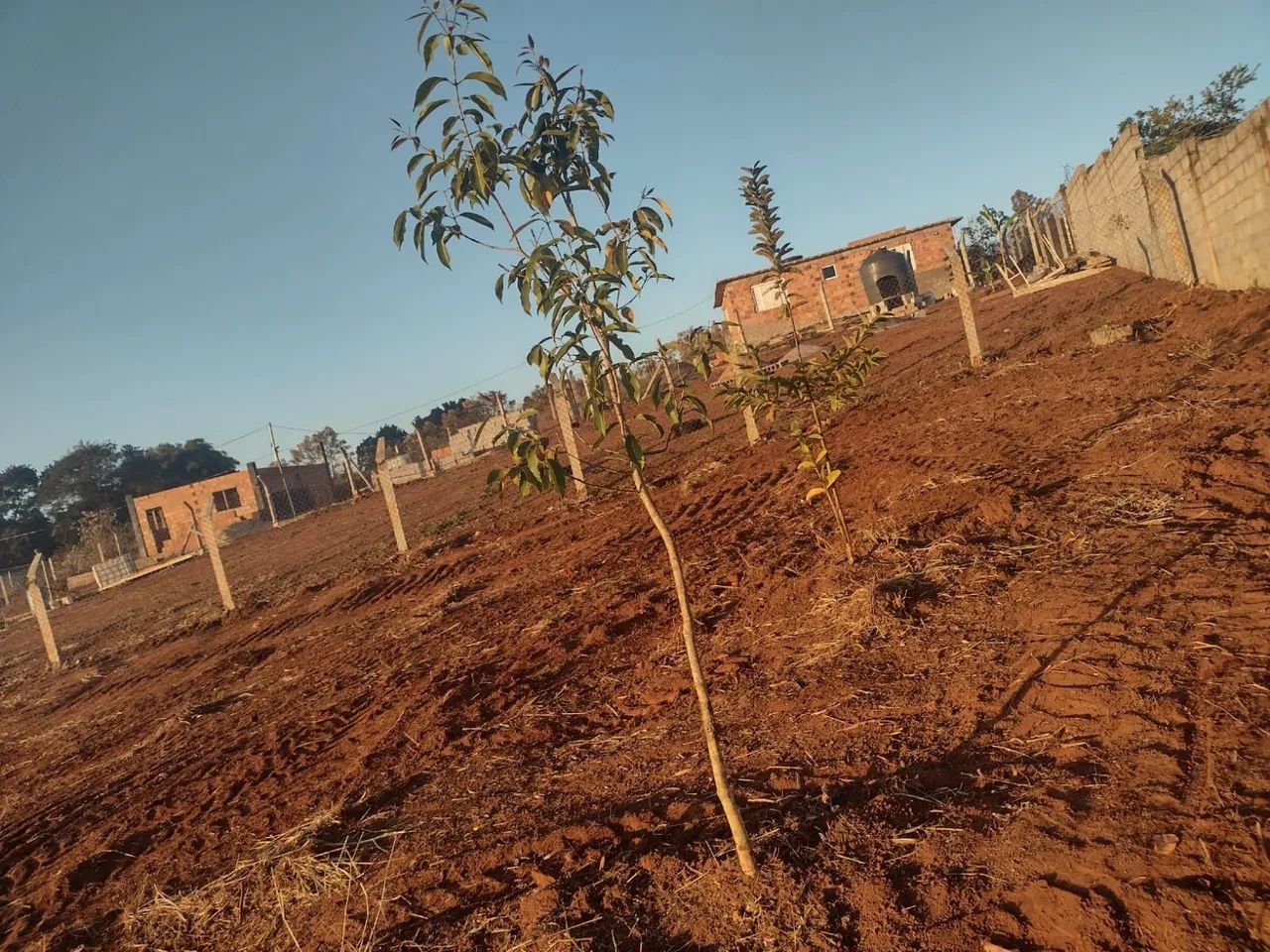 Chácara, Terreno, Sítio - A VENDA - Foto 4