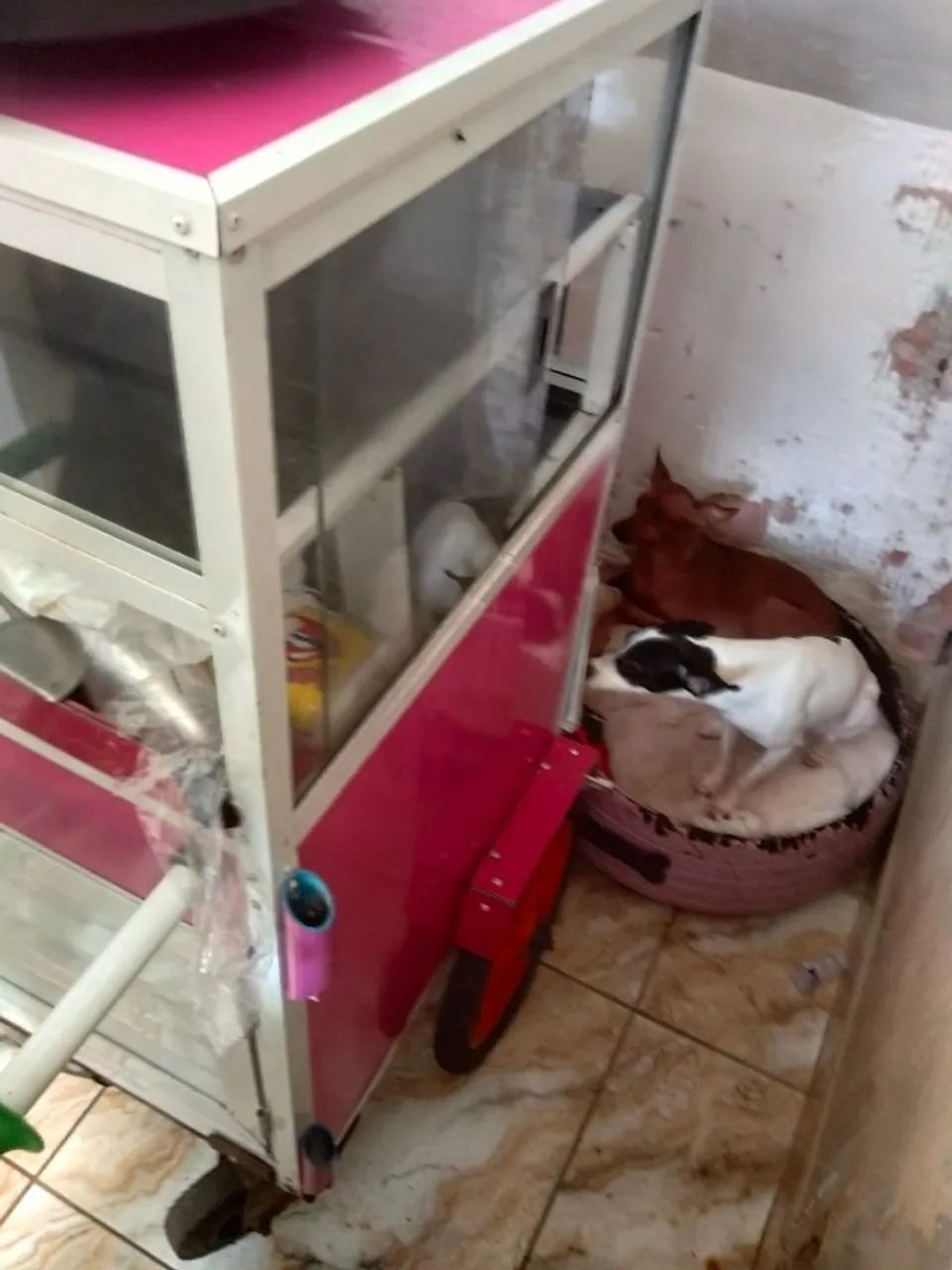 Carrinho de lanche pouco usado - Foto 3