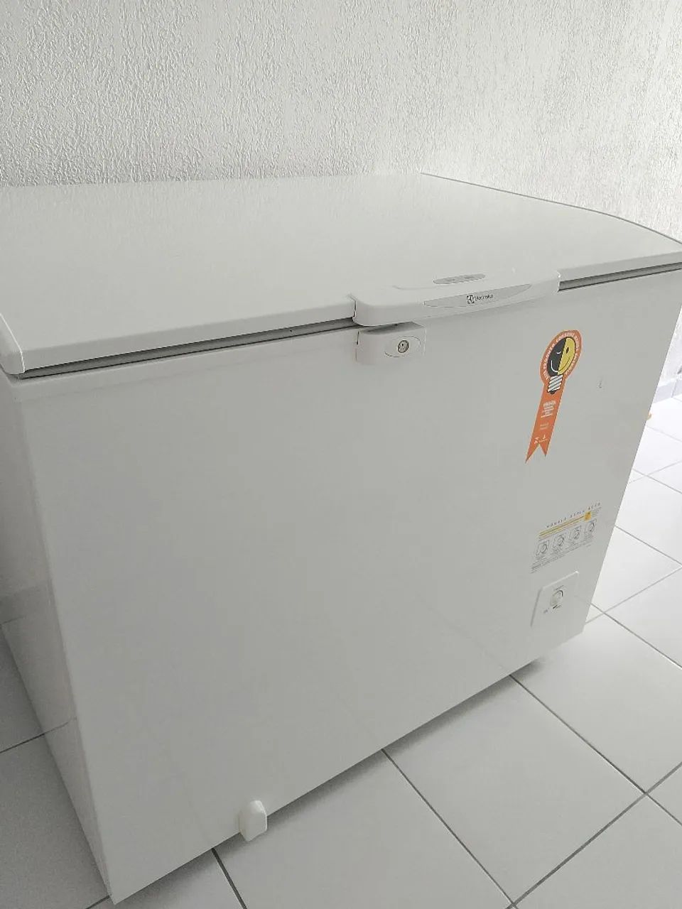 Freezer Electrolux 314 L - Foto 2