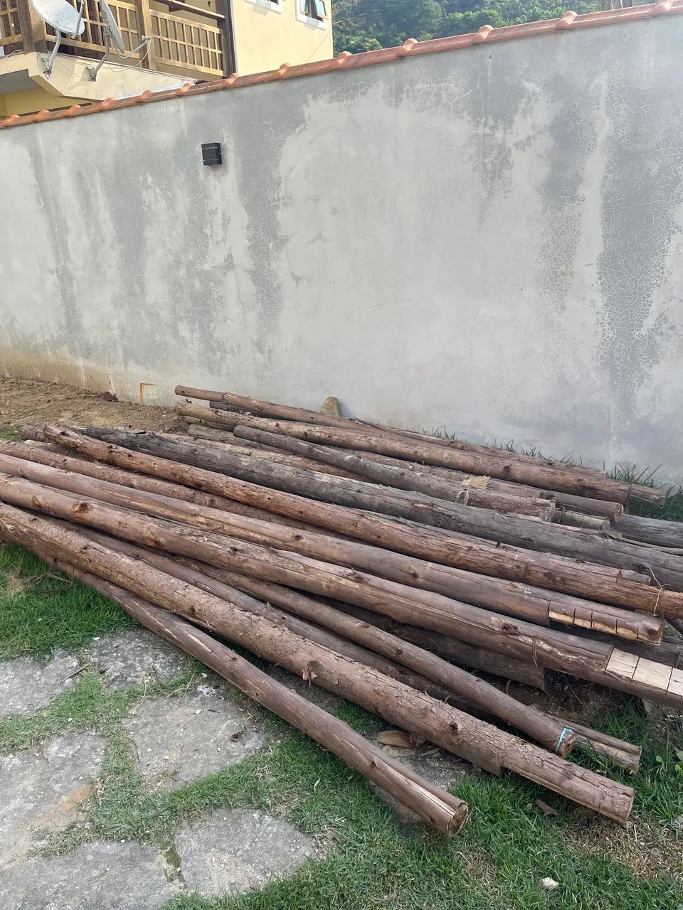 Escoras de eucalipto 