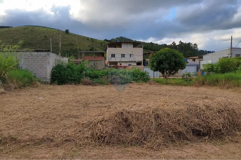 Terreno - Caiana/MG - Foto 4