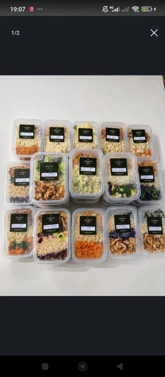 Marmitas fitnes Congeladas 