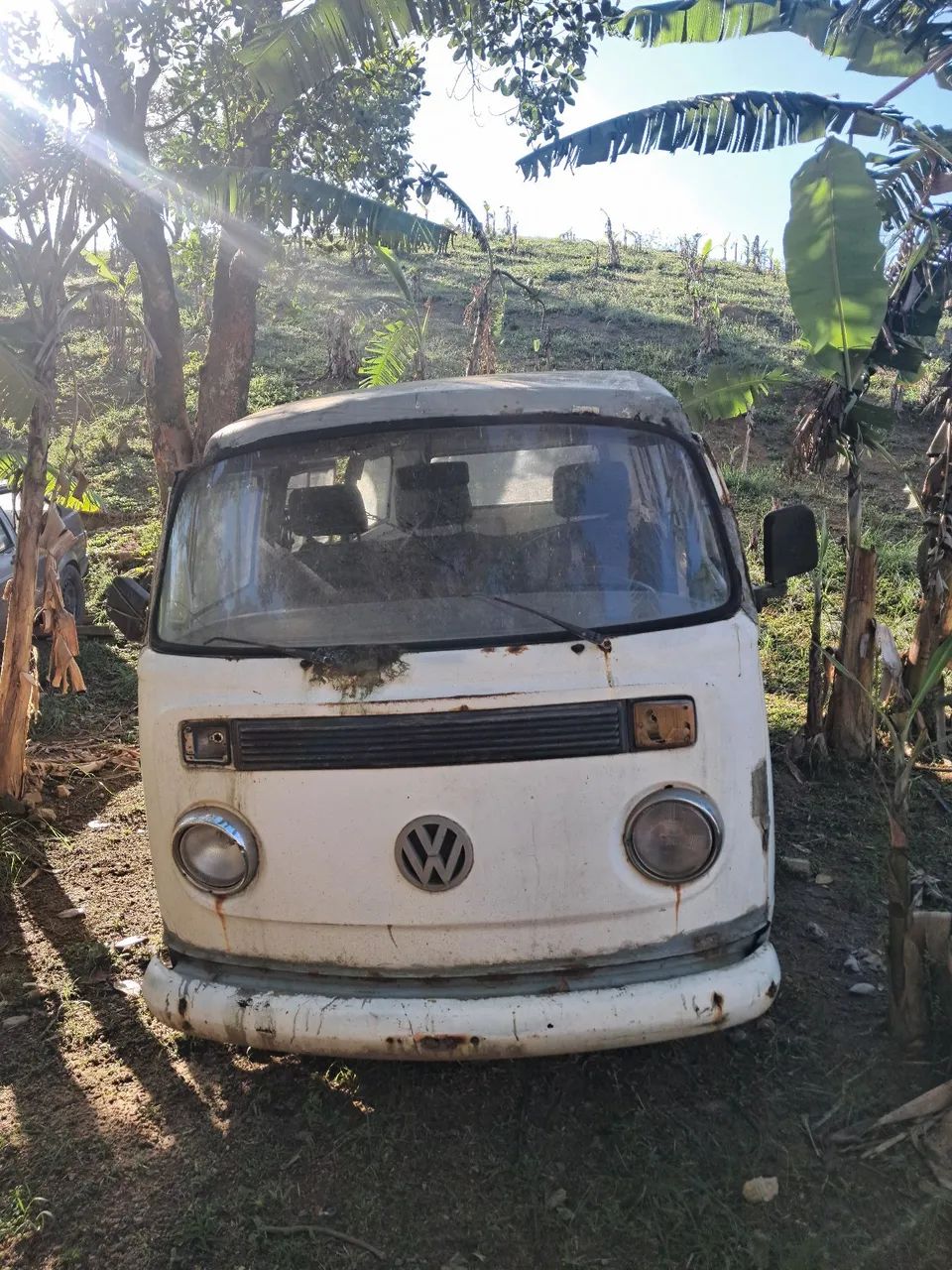Volkswagen Kombi Standard/ Luxo/ Serie Prata 2005