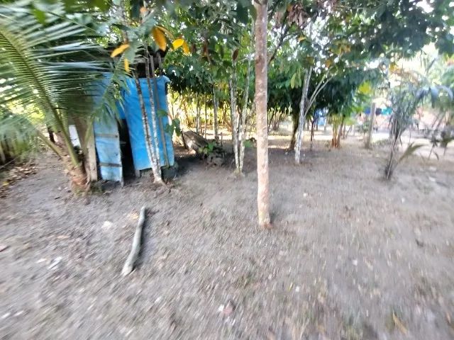 VENDE SE SITIO RIO PRETO DA EVA  - Foto 3