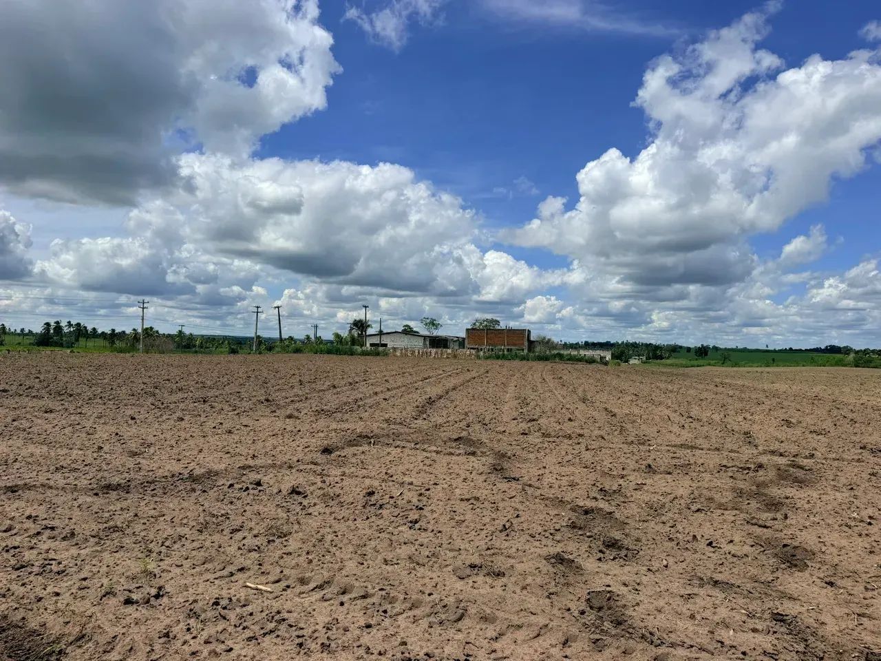 Area de 7 Hectares com 450 metros de Frente de  Pista - Foto 5