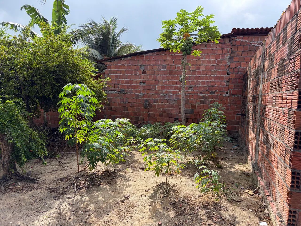 Terreno 5m x 20m.   R$20mil - Foto 3