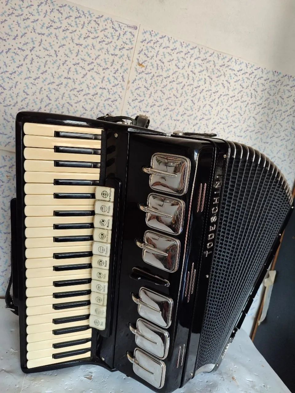 Acordeon Todeschini super 8.. 