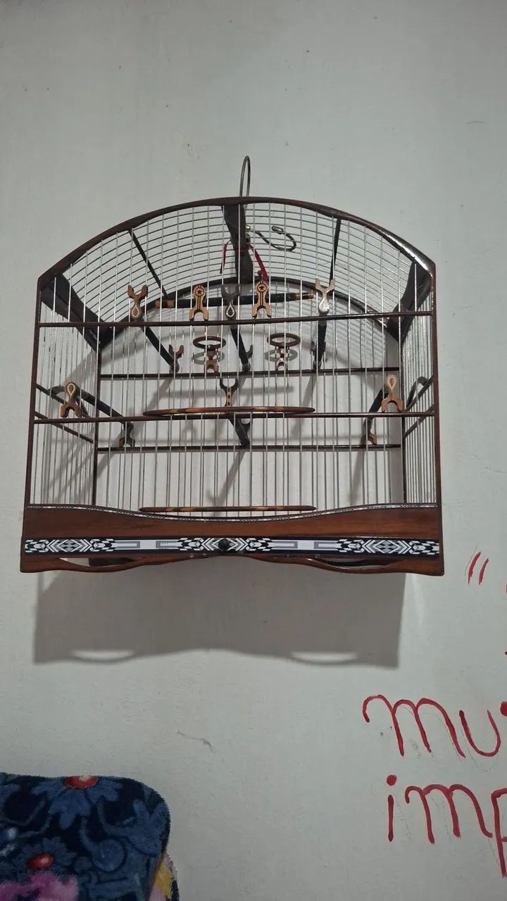 Gaiola de aço inox mais voador 