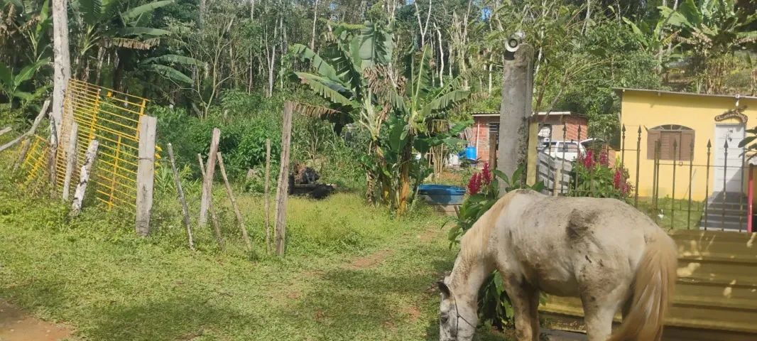 Sítio a venda Ibiúna - 70 mil - Foto 3
