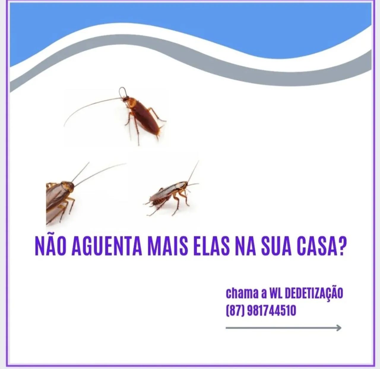 SERVIÇO DE DEDETIZAÇAO  - Foto 4