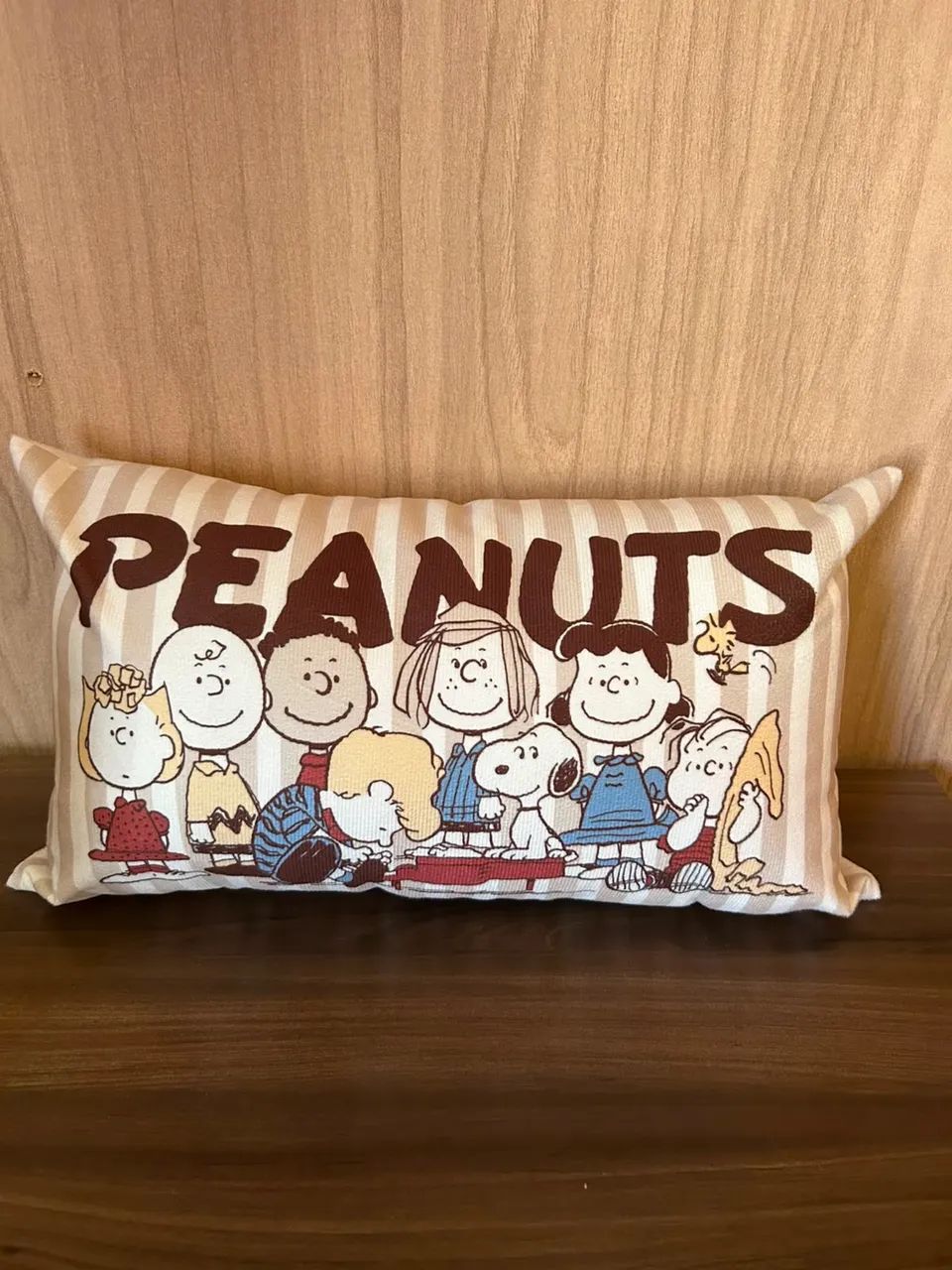 Almofada Snoopy 