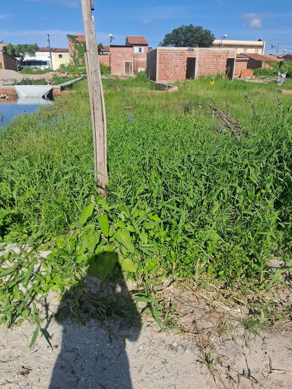 Foto - Fortaleza - Jardim das Oliveiras