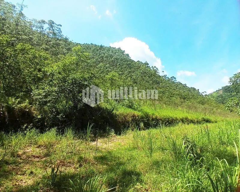 LINDO TERRENO PARA SÍTIO EM BOTUVERÁ - Foto 4