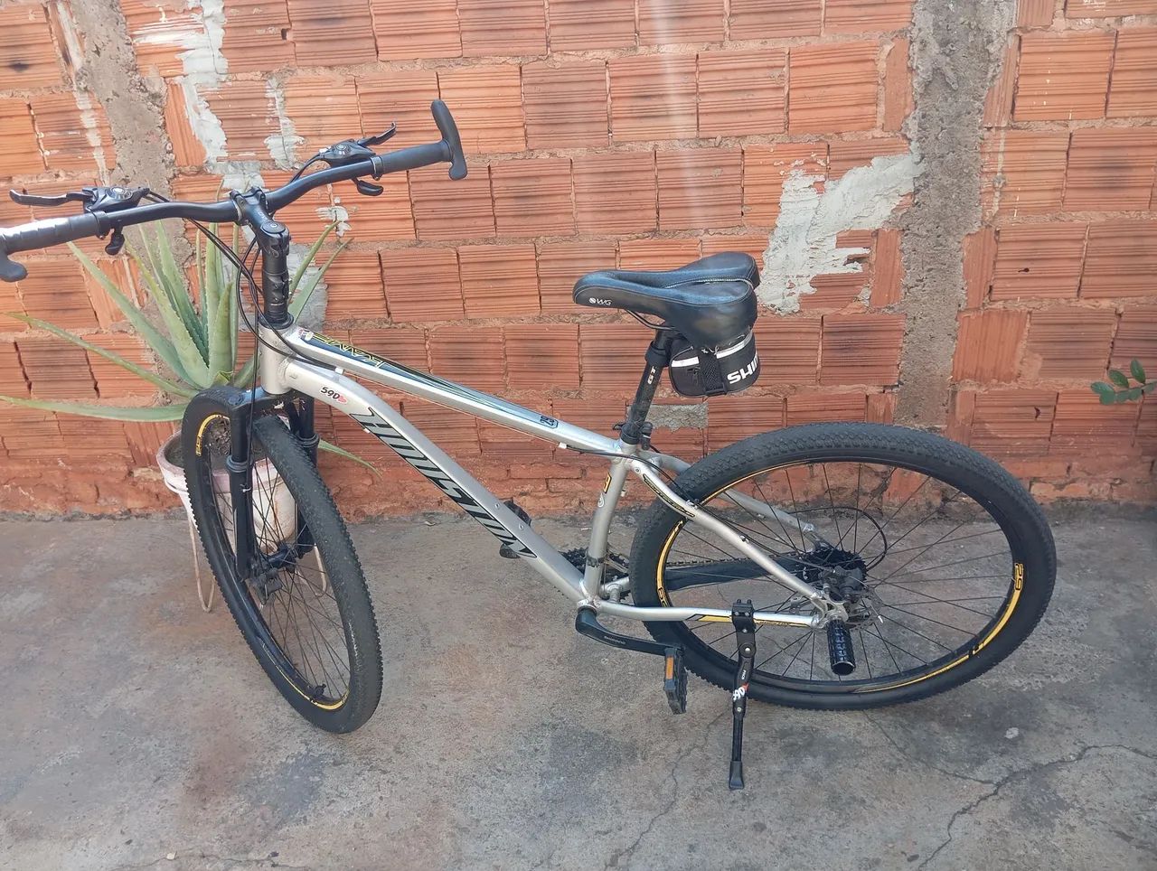 Biscicleta 