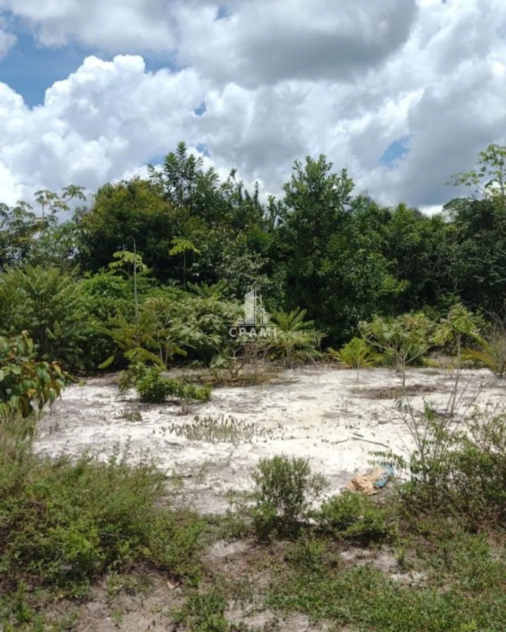 Lote no Cond. Mosaico Ponta Negra | Terreno 228,84m²  - Foto 2