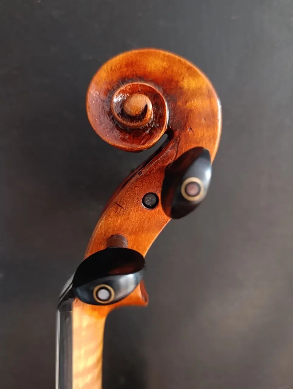 Violino  - Foto 5