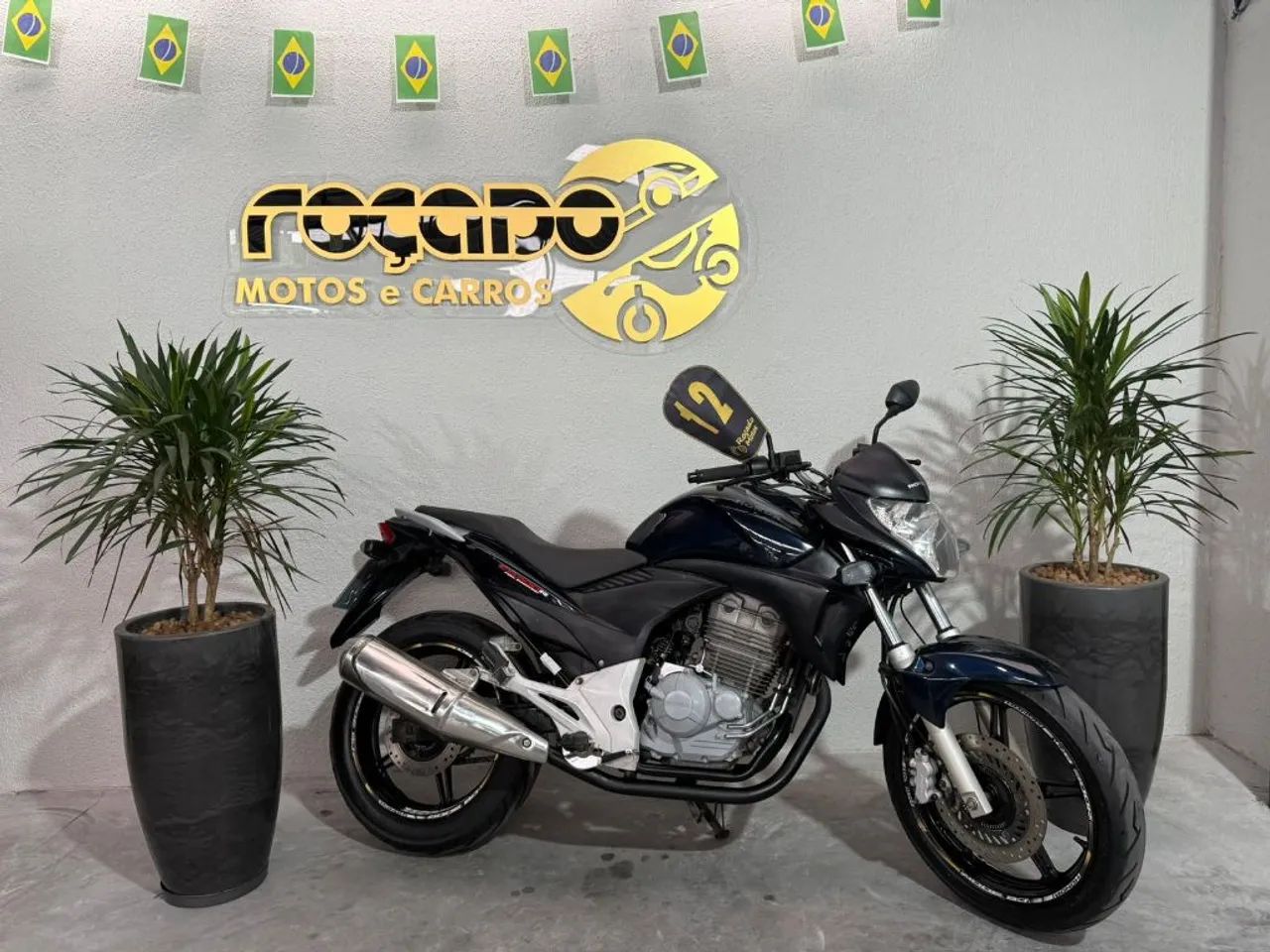 CB 300R/ 300R FLEX