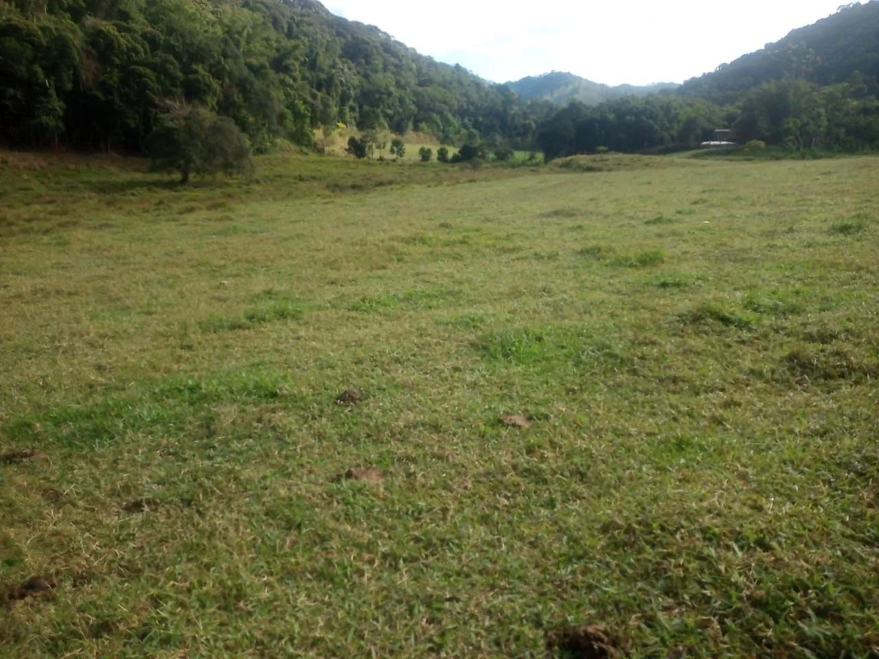 Fazendinha 4 Alqueires Araguia  - Foto 3