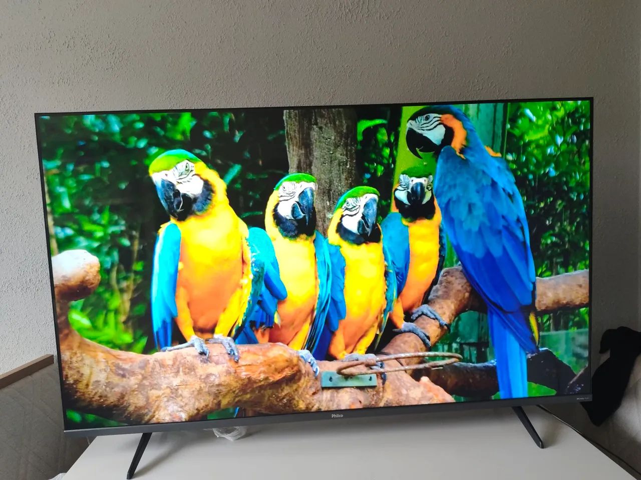 Smartv 60 polegadas Android 4k com Bluetooth integrado tv como nova sem detalhes