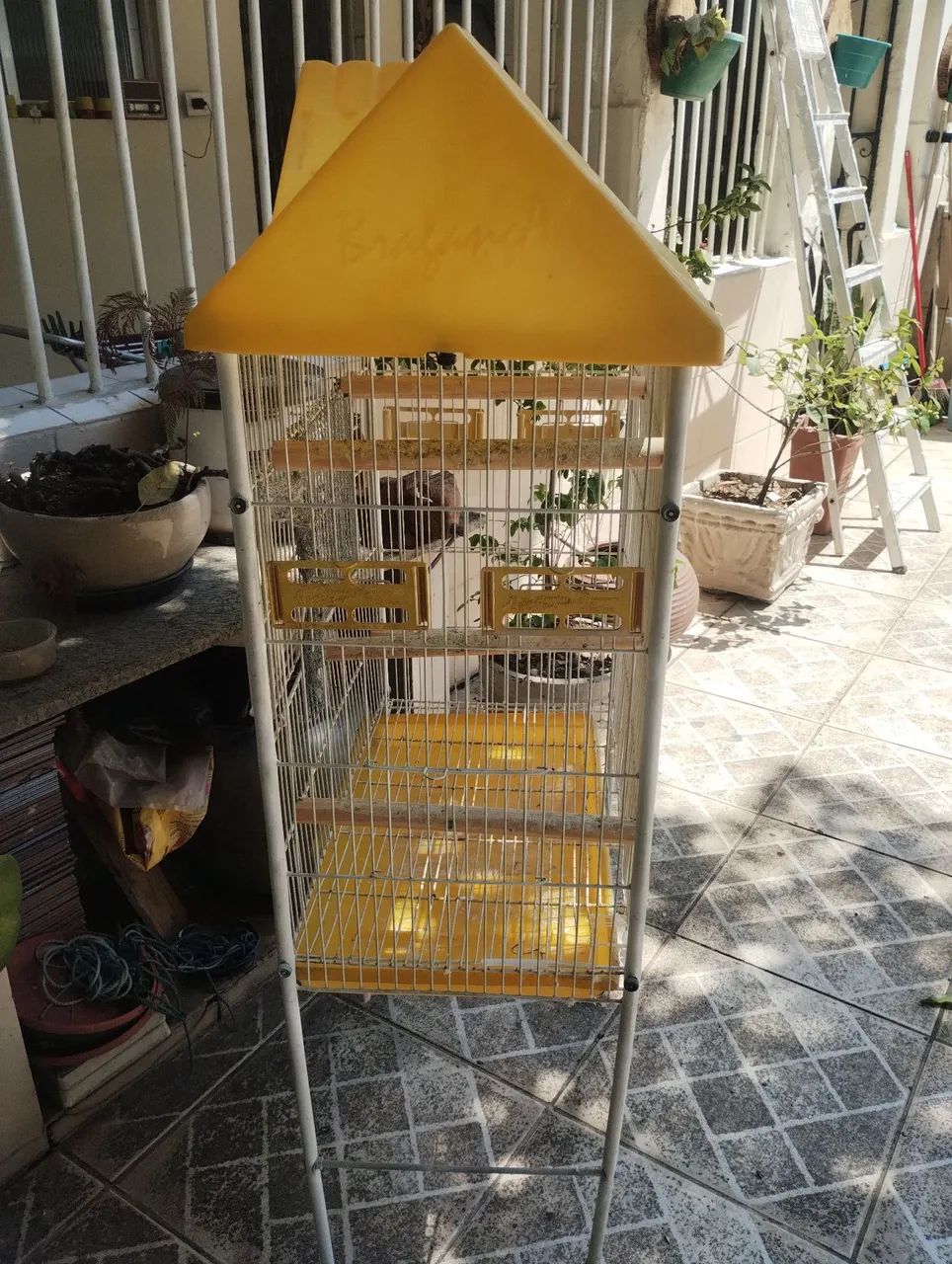 Viveiro para calopsita  - Foto 3