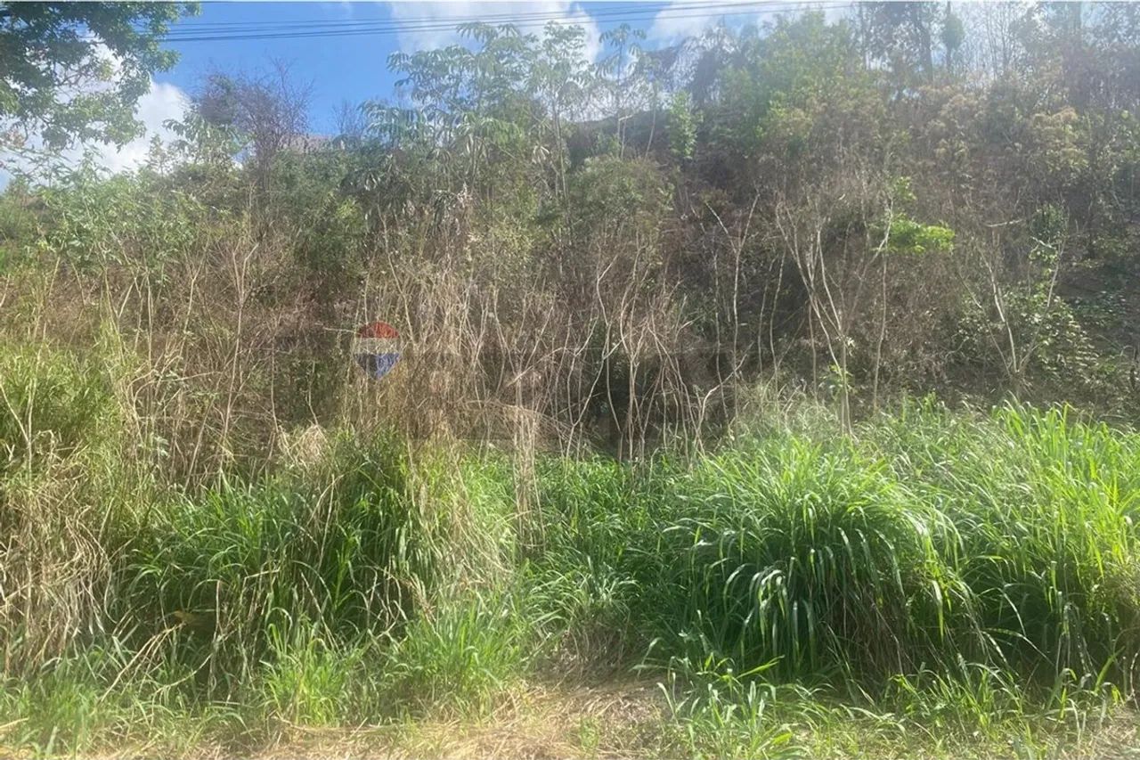 Terreno em Escarpas do Lago, Capitólio! - Foto 2