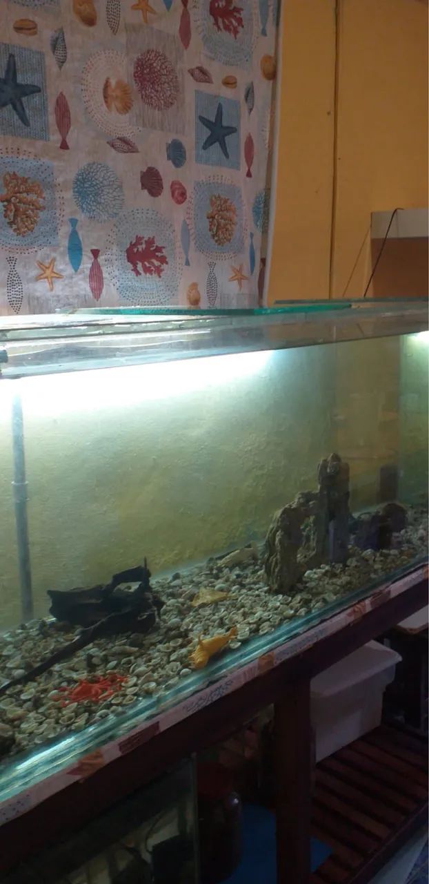 MEGA AQUÁRIO 400 LITROS BEM CONSERVADO